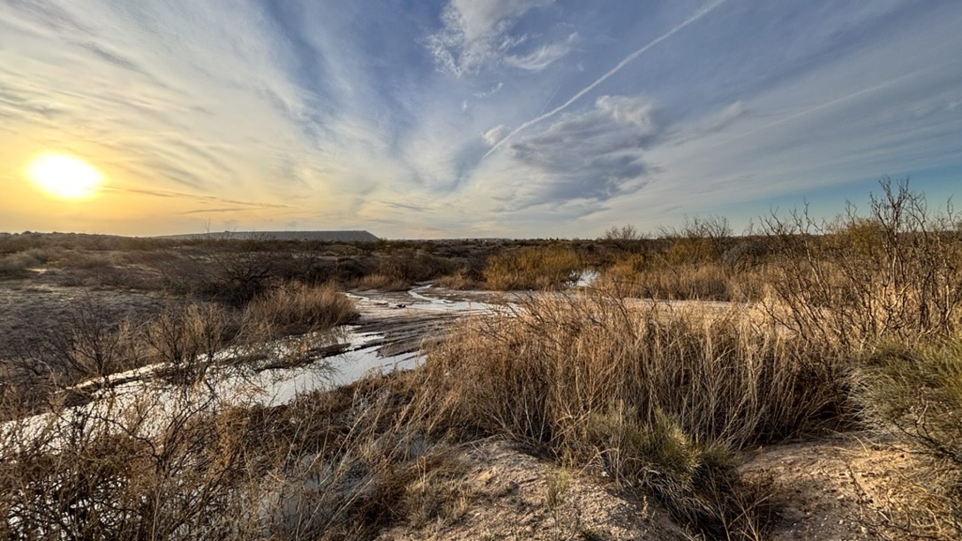 COSP Desert Landscape