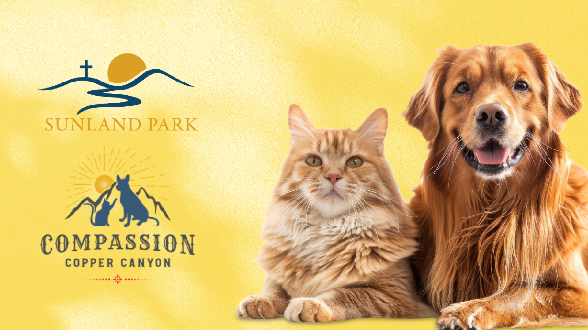 Low Cost Pet Vaccines Compassion Copper Canyon